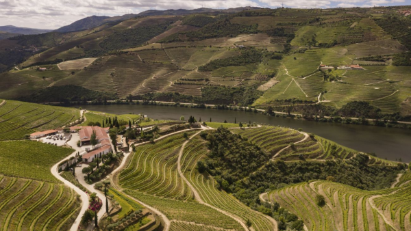 Passeio de trem pelo Vale do Douro, visita a vinhedos, vista para o rio Douro, experiência com a culinária local, passeio de dia inteiro